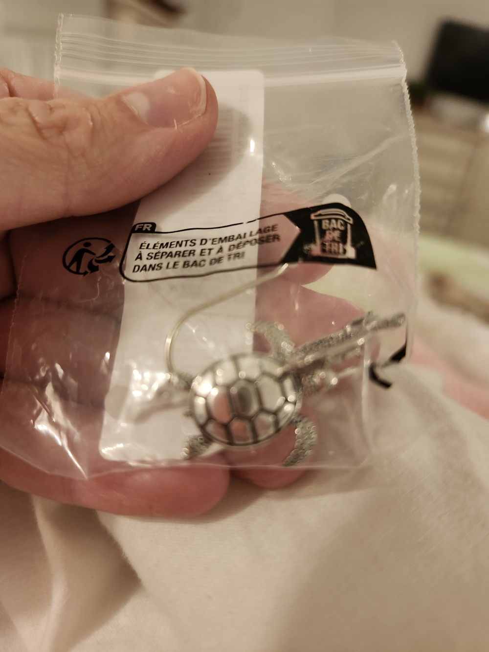 Silver Turtle Earrings